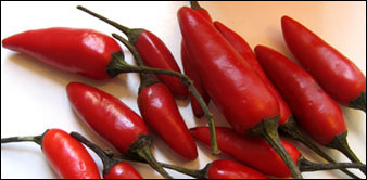 A Picture of Chillies