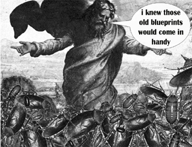 God Creates Spammers