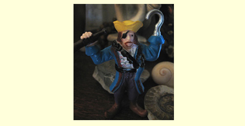 A Little Plastic Pirate