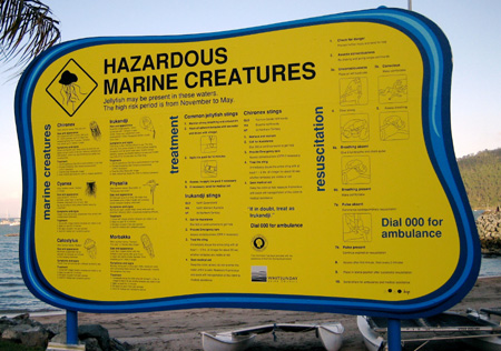 Hazardous Sea Creatures