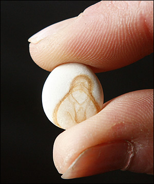 The Holy Virgin of the Lost Marbles