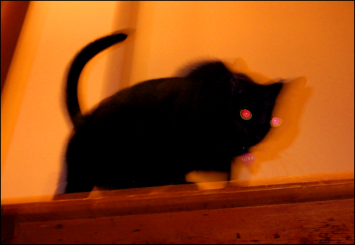 Phantom