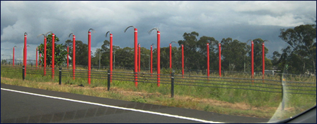 Some Red Poles