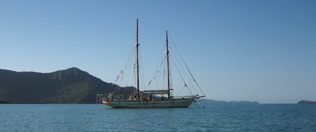 The Derwent Hunter