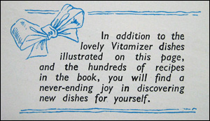 Vitamizer