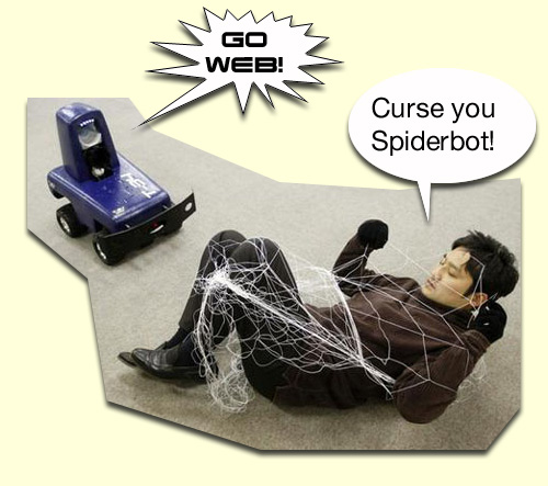 A Spider Bot